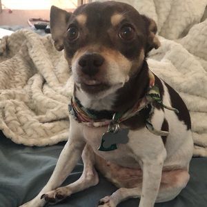 Meet your Posher, Rachel